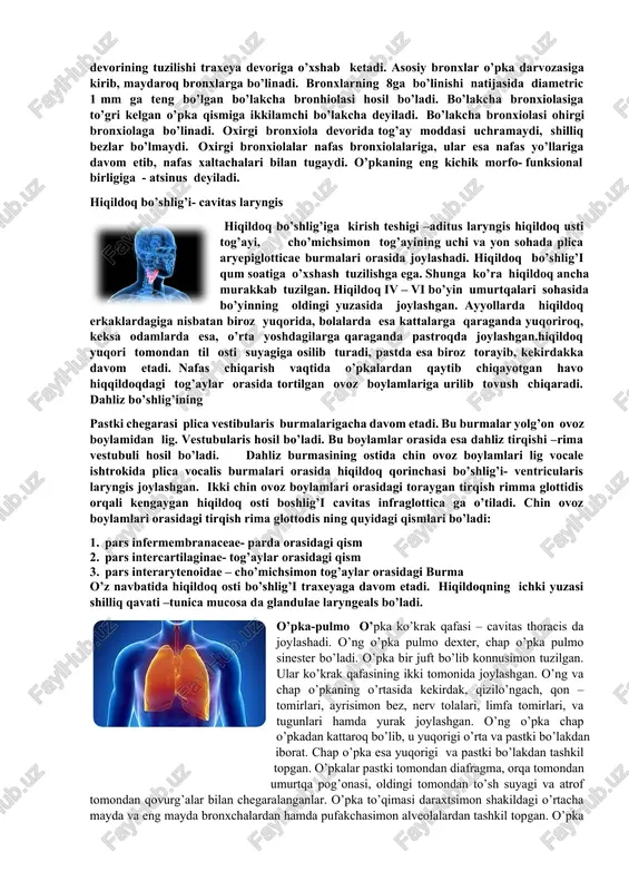 quyidagi xavo o’tadigon yo’llar bo’ladi : 1. meatus nasi superior – yuqorigi burun yo’li 2. meatus nasi medius – o’rta burun yo’l bu yo’lda uning dahlizi – atrium meatus medii g’alvirsimon pufakcha bulla etmoidalis, g’alvirsimon suyak quygichi infundibulum ethmoicommunis ni xosil qiladi. traxeya – trachea tuzilishi va vazifasi traxeya hiqildoqning davomi bo’lib 6- bo’yin umurtqasidan 5-ko’krak umurtqasigacha davom etadi. traheyaning bo’yin qismi pars cervicalis, ko’krak qismi esa pars thoracica deyiladi. traxeyaning pastki uchi ikki asosiy bronxga ajraladi. uning bo’linish sohasi bifurcatio tracheae deyiladi. traxeyaning bronxlarga bo’linish sohasida ichki yuzasida bo’rtib chiqqan hosila carina tracheae yuzaga keladi. traxeyaning orqa yuzasida qizilo’ngach joylashadi. uning asosini yarim halqasimon tog’aylar cartilagne tracheales hosil qiladi. traxeya tog’aylari ostida halqasimon mushak tolalari m trachealis bo’ladi. tog’aylar o’zaro ligg annularia boylamlari vositasida qo’shiladi. tog’aylarning orqa uchlari qo’shilmaganligidan bu sohada mushak tolalari bo’lgan parda paries membraneceus hosil bo’ladi. traheyaning ichki yuzasida kiprikli epiteliy bilan qoplangan shilliq qavat hosil …