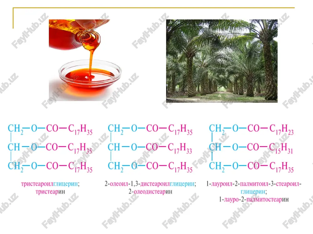 a pinenlar terpentin moylarining asosiy qismini tashkil etadi. pinanlar qaragay daraxtidan olingan. qarag'ayni-pinus deb ataldi. α-pinen β-pinen tsuyuq = 155-156os tsuyuq =162-163os kamfan hosilalari kamfara.(bornanon-2) kamforani sanoat miqyosida α-pinendan olinadi. α-pinen kamfora kamfora. yaponiyada kamforani dafna daraxtlaridan olingan. kamfora meditsinada yurak faoliyatini yaxshilash uchun qo'llaniladi. brom kamfora yurakni yaxshilab markaziy nerv sistemasini ta'sir qiladi. kamforani tishenko usuli bo'yicha sintezlash. α – pinen borneolatsetat borneol kamfora kamfora molekulasida 2 ta assimetrik atom bo'lib, uning 4 ta optik izomeri bo'lishi kerak edi. ammo kamforani 2 ta optik izomeri ma'lum. buning sababini kamfora molekulasining stereoximiyaviy tuzilishi bilan tushuntiriladi. seskviterpenlar. (s5n8)3 seskviterpenlar - bir yarim terpenlar degan ma'noni anglatadi. seskviterpenlarning hosilalaridan samtonin meditsinada gijaga qarshi kurashda eng yaxshi preparat sifatida keng qo'llanib kelingan. uning tuzilishi quyidagi ko'rinishga ega. santonin. santonin darmana o'simligidan (tsitvarnoy polin) olinadi. bu preparatni sanoat miqyosida o'simlikdan olishni 1899 yilda chimkent shaxrida qurilgan farmatsevtika zavodida olina boshlangan. diterpenlar. diterpenlarga misol qilib …