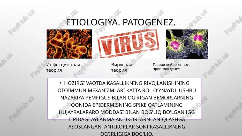 gilangan joylarda hosil bo'ladi. gistopatologiya s pemfigusdagi xarakterli va asosiy morfologik o'zgarish akantoliz natijasida siydik pufagining intraepitelial shakllanishi, ya'ni.umurtqa pog'onasining pastki qismlarida hujayralararo ko'priklarning erishi. ushbu qatlamning hujayralari ajralib chiqadi va ular orasida yoriqlar, keyin pufakchalar paydo bo'ladi. bunday pufakchalarning pastki qismi va eroziya yorilishidan keyin hosil bo'lgan sirt akantolitik hujayralar bilan qoplangan. akantoliz diagnostika pemfigus vulgarisning muhim diagnostik belgisi nikolskiyning ijobiy alomatidir. pemfigus tashxisini sitologik tadqiqotlar — tsank hujayralarini aniqlash bilan tasdiqlash kerak. immunofluoresans usuli ham qo'llaniladi, bu pemfigus bilan og'rigan bemorlarning qon zardobida epidermisning spike qatlamining hujayralararo moddasiga (bilvosita rif bilan) igg tipidagi antikorlarni va hujayralararo modda va spike qatlamining hujayra membranasida igg konlarini aniqlashga imkon beradi (to'g'ri rif bilan). during dermatit herpetiformis enteropatiyasi bilan bog'liq bo'lgan va polimorfik qichiydigan toshmalar, surunkali takrorlanuvchi kurs, dermis papillasida granulali iga cho'kmasi bilan tavsiflangan yallig'lanishli teri kasalligi. etiologiya dermatit herpetiformis (hd) – shimoliy evropada tez-tez uchraydigan noyob dermatoz. odatda kasallik 30-40 …