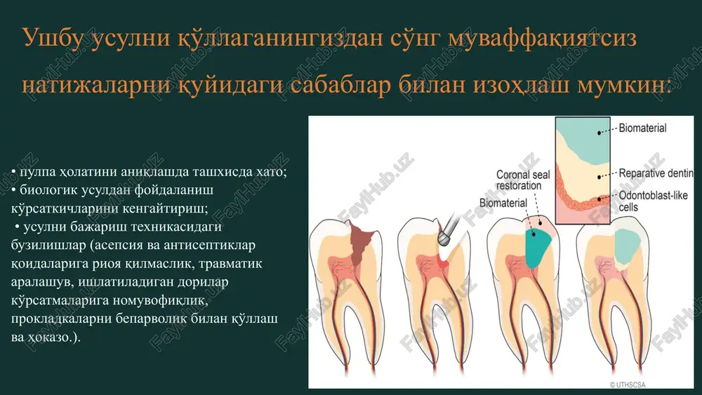 iyani takomillashtirish biologik usulni yanada samarali va qulayroq qilishi mumkin. 18 image1.png image2.png image3.png image4.png image5.png image6.png image7.png image8.png image9.png image10.png image11.png image12.png image13.png image14.png image15.png image16.png image17.png image18.png image19.png image20.png image21.png image22.png image23.png image24.png image25.png image26.png image27.png image28.png image29.png image30.png image31.png image32.png image33.png image34.png