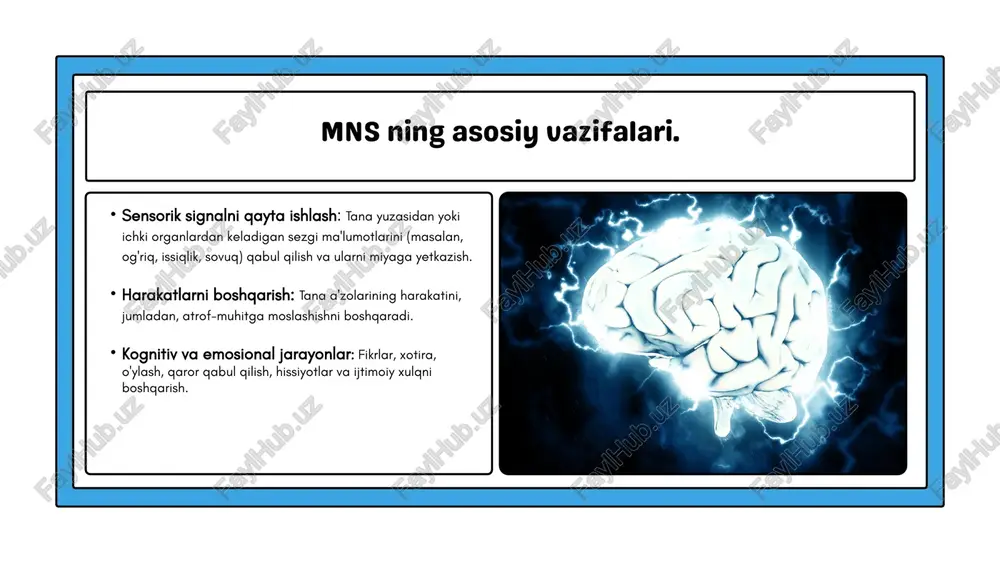 ri ) umurtqa pog’onasining birlamchi o’smalari xloroma- leykemik hujayralarning fokal infiltratsiyasi angiolipoma orqa miya o‘smalari 80% holatlarda ekstramedullyar, 20% - intramedullyar joylashadi. demak, intramedullyar o‘smalar kam uchraydi. intramedullyar o‘smalardan ependimomalar ko‘p, gliomalar (astrositomalar) esa kam uchraydi. shuningdek, kam uchraydigan o‘smalar sirasiga gemangioma, sarkoma va granulemalar kiradi. keksa yoshda esa orqa miya raki metastazi ko‘p uchraydi. gliomalar (ependimoma, astrositoma, oligodendroglioma, multiform glioblastoma, medulloblastoma) barcha intramedullyar o‘smalarning 80% ini tashkil qiladi. bunday o‘smalar ko‘pincha orqa miyaning kulrang moddasida paydo bo‘ladi va vertikal yo‘nalishda o‘sadi. o‘sma o‘sgan joyda orqa miya voronkaga o‘xshab kengayadi. ependimoma markaziy kanal (canalis centralis) ependimasida o‘sadi va atrofdagi to‘qimalardan yaqqol ajralib turadi. orqa miyaning pastki qismida o‘sadigan ependimoma ot dumi ildizchalari orasida joylashadi va katta hajmga yetadi. bunday o‘smani operasiya yo‘li bilan butunlay olib tashlash mumkin. boshqa intramedullyar o‘smalarni (ependimomadan tashqari) butunlay olib tashlash imkoni yo‘q. orqa miyaning kulrang moddasidan o‘suvchi astrositomalar kistaga aylanish xususiyatiga ega, oq moddasidan o‘suvchi …