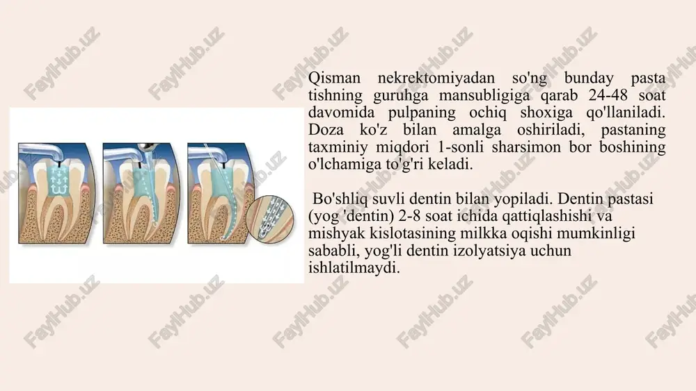 image11.png