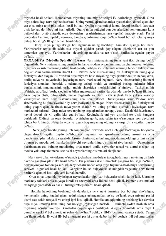 dan nerv tizimi markaziy va periferik qismlarga bo‘linadi. markaziy qismiga bosh va orqa miya kirib, ular kulrang va oq moddalardan iborat. kulrang modda nerv hujayralarining to‘plami, oq modda esa nerv o‘simtalaridan tashkil topgan. periferik qismi tarkibiga nerv ildizlari, tugunlari, chigallar va nervlar kiradi. nerv tizimining filogenezi bir hujayrali sodda organizmlarda (amyoba) nerv tizimi bo‘lmaydi. ularda tashqi muhit bilan aloqa organizmning ichi va tashqarisida joylashgan suyuqlik vositasida bo‘ladi (gumoral boshqarish). keyinchalik nerv tizimi hosil bo‘lganidan so‘ng, gumoral boshqarish uning ta’siriga o‘tib, neyro-gumoral boshqarish paydo bo‘ladi. nerv tizimi filogenezda bir nechta bosqichni o‘tadi: i-bosqich to‘rsimon nerv tizimi. bu bosqichda nerv tizimi (gidra) nerv hujayralaridan tashkil topgan bo‘lib, ularni o‘simtalari bir-biri bilan qo‘shilib to‘r hosil qiladi. bunday hayvonlarda ikki xil hujayra: ektodermada joylashgan retseptor hujayralar va ichkarida joylashgan effektor hujayralar tafovut qilinadi. tanani qaysi joyiga ta’sir qilinsa ham, ichki hujayralar qo‘zg‘aladi va tirik organizm harakat qiladi. ii-bosqich tugunli nerv tizimi. umurtqasiz hayvonlarda nerv …