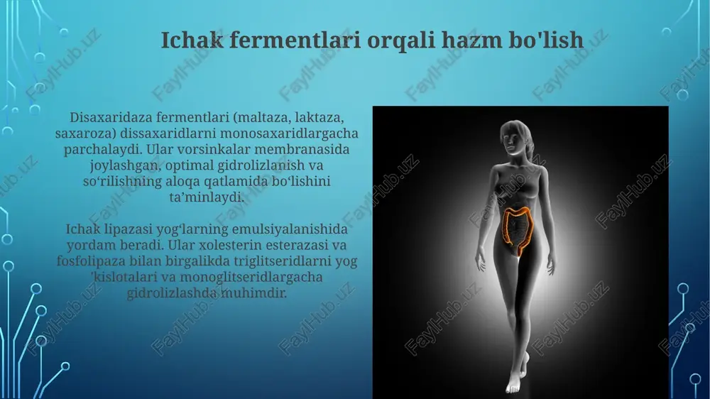 safro suyuqligining tarkibi - Page 4