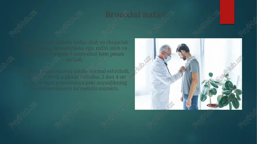 afasining ma'lum sohalarida aniqlanadi. ushbu nafas tovushi ko'pincha o'pkaning bifurkatsiyasi sohasida, ya'ni 1 va 2 qovurg'alar orasidagi sternum yaqinida, orqa tomondan esa kuraklar orasida normal holatda 10-12 sm balandlikda eshitiladi. stridor stridor - bu nafas yo'llarining torayishi tufayli hosil bo'ladigan baland, hushtaksimon tovush bo'lib, odatda laringeal yoki traxeya sohasida joylashgan bo'ladi va inspiratsiya paytida aniq eshitiladi. inspirator stridorning eng ko'p uchraydigan sabablaridan biri bu kruppdir, bu 6 oydan 3 yoshgacha bo'lgan bolalarda uchraydigan nafas yo'llarining yuqori qismidagi infeksiya bo'lib, odatda 85 desibeldan oshmaydi. adventiv nafas tovushlari: kirish hushtaksimon tovushlar nafas yo'llarining torayishi natijasida paydo bo'ladi, odatda astma yoki bronxospazmda uchraydi va 400 hz dan 2000 hz gacha chastotaga ega bo'lishi mumkin. adventiv nafas tovushlari normal nafas tovushlaridan farq qiladi, ular patologik jarayonlar natijasida hosil bo'ladi. bularga xirillash, hushtaksimon tovushlar va krepitatsiya kiradi. e'tiboringiz uchun rahmat image7.jpg image8.jpg image9.jpg image10.jpg image11.jpg image12.jpg image13.jpg image14.jpg image15.jpg image16.jpg image17.jpg image18.jpg image19.jpg image20.jpg image21.jpg …