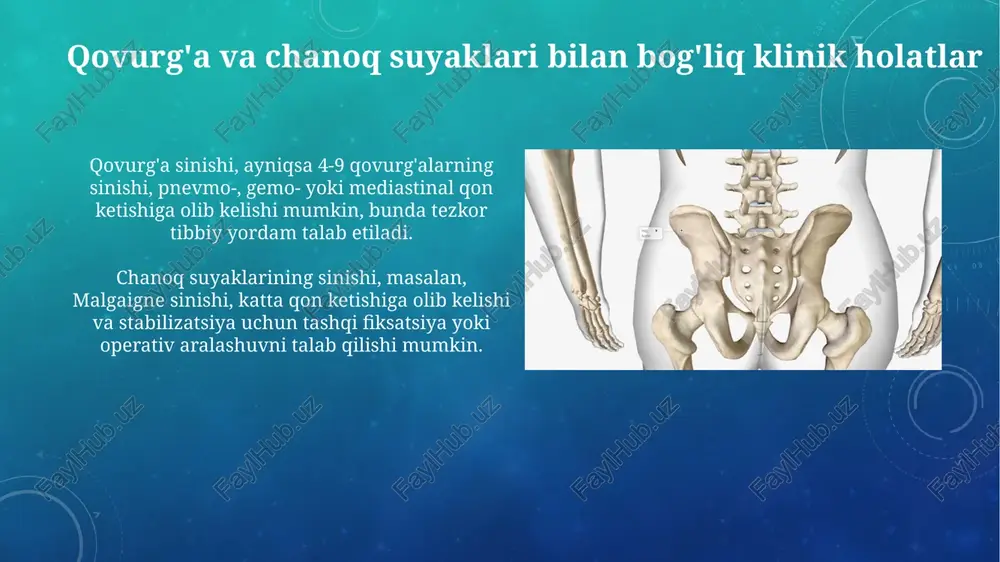 to'sh va qovurg'a suyaklari - Page 4