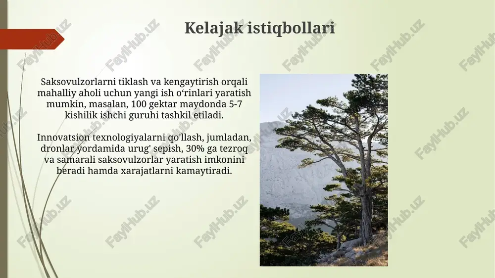 um va qoraqum cho'llarida, shuningdek, amudaryo va sirdaryo daryolarining deltalarida keng maydonlarni qamrab oladi, balandligi dengiz sathidan 200 metrdan 1000 metrgacha. saxovul o'rmonlari asosan o'rta osiyoning cho'l va yarim cho'l hududlarida, taxminan 40° va 55° shimoliy kengliklarda va 50° va 85° sharqiy uzunliklarda joylashgan. iqlim o'zgarishiga moslashuvi saxaul urug'lari tez o'sib chiqadi va har xil tuproqlarga moslasha oladi, bu esa ularga iqlim o'zgarishi natijasida paydo bo'ladigan yangi sharoitlarda yashashga yordam beradi. iqlim o'zgarishi ta'sirida saxaulzorlar fotosintezni optimallashtirish orqali karbonat angidridni yutish qobiliyatini oshirmoqda, lekin o'sish sekinlashishi mumkin. e'tiboringiz uchun rahmat image2.jpg image3.jpg image4.jpg image5.jpg image6.jpg image7.jpg image8.jpg image9.jpg image10.jpg image11.jpg image12.jpg image13.jpg image14.jpg image15.jpg image16.jpg image17.jpg image18.jpg