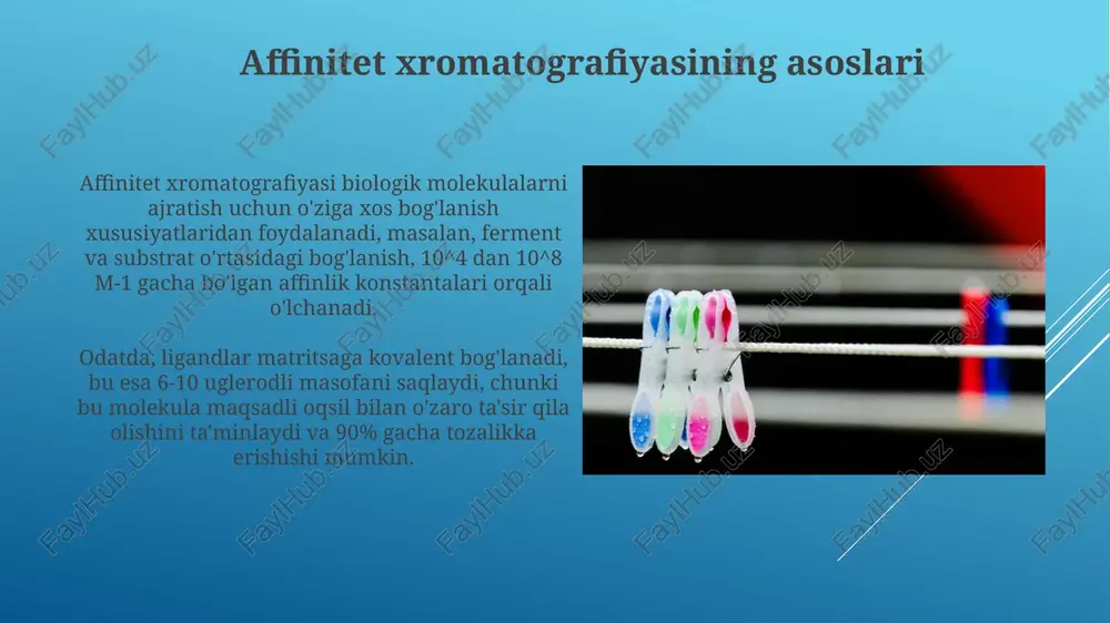 aglari bo'lgan oqsillar nikel bilan bog'langan ustunlarda 1-bosqichda tozalanishi mumkin. affinitet ligandlari immunoglobulin g (igg) uchun oqsil a ligandlaridan foydalanish immunoassaylarda keng tarqalgan bo'lib, antitelolarni mustahkam bog'laydi va antitelolarni 90% dan ortiq aniqlikda tozalashga yordam beradi. nad+ va nadh kabi koenzimlar fermentlarni tozalash uchun affinitet ligandlari sifatida ishlatilishi mumkin, chunki ko'plab fermentlar bu koenzimlar bilan o'zaro ta'sir qiladi, bunda 75% dan 95% gacha bog'lanish samaradorligi kuzatiladi. affinitet xromatografiyasining turlari immobilizatsiyalangan metall ionli affinitet xromatografiyasi (imac) gistidin qoldiqlariga boy oqsillarni, masalan, 6x-his-tagged oqsillarni tozalash uchun ni2+, co2+ yoki cu2+ ionlaridan foydalanadi. affinitet matritsasining tabiatiga ko'ra, antitelalar (immunaffinitet), lektinlar (lektin-affinitet), nuklein kislotalar (dnk-affinitet) yoki metall ionlari (metal-xelat affiniteti) ishlatilishi mumkin. muammolarni bartaraf etish agar bog'lanish juda kuchli bo'lsa, elyusiya qiyin bo'lishi mumkin; ion kuchi, ph yoki raqobatdosh bog'lovchilarni asta-sekin o'zgartirish orqali elyuatsiyani optimallashtiring. 10 mm dan 100 mm gacha bo'lgan tuz konsentratsiyasini sinab ko'ring. noto'g'ri bog'lanishni kamaytirish uchun blokirovka qiluvchi vositalardan, masalan, …
