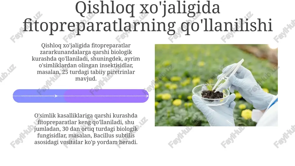 fitopreparatlar va ularning qo’llanilishi - Page 4