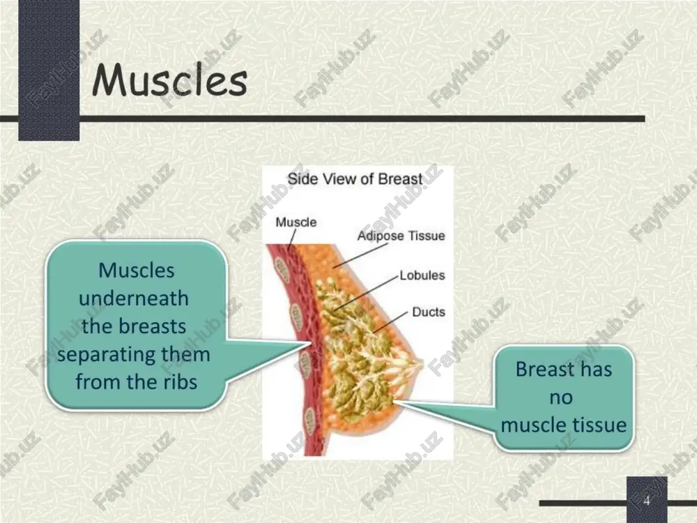 breast cancer - Page 4