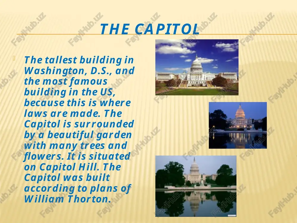 washington - Page 4