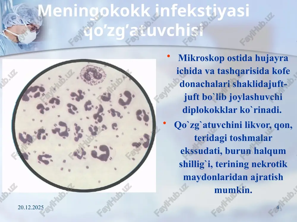 (quyi, o`rta, yuqori). giyen simptomi bexterov simptomi meningeal belgilar (bolalar uchun) 17.10.2025 20 «osilib turish» (lessaj), «uch oyoqda tayanish», «tuvak» simptomi «tizzani o`pish» simptomi (amosa). liqildoqning uch simptomi: liqildoqning shishi va taranglashib turishi, pulsatsiya yo`qolishi. 17.10.2025 21 brudzinskiy simptomi va ensa mushaklari taranglashuvi 17.10.2025 22 17.10.2025 23 17.10.2025 24 meningitda bemor holati – (o’qlangan miltiq holati) 17.10.2025 25 kernig belgisi ijobiy kernig simptomi – oyoqlarni toz-son bo`g`imi sohasida bukilganda oyoqni tizza bo`g`imi sohasida yozilmasligi. 17.10.2025 26 17.10.2025 27 27 asoratlari miya shishi – klinik jihatdan- talvasalar, xushning to komagacha buzilishi bilan nomoyon bo`ladi. infeksion-toksik karaxtlik serebral gipertenziya – buning natijasida miyachani katta ensa teshigiga tiqilishi va uzunchoq miyani ezilishi kuzatiladi. 17.10.2025 28 asoratlari ependimatit – qorinchalar ependimasiga yallig'lanish jarayoni tarqalishi bilan yuzaga keladi buyrak usti bezi infarkti – keskin rivojlangan endotoksinemiya va nospetsifik gipersensibilizatsiya bilan bog'liq tserebral kollaps (gipotenziya) – likvor ishlab chiqarishda tserebral gemodinamikani buzilishi, intensiv degidratatsion terapiyani o'tkazish …