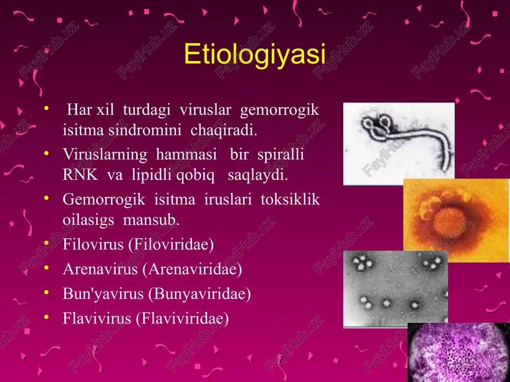 alikda bsgi : shubhali holatlar in`ektsiya qilingan joylarda gemorragiyalar bsgi : shubhali holatlar dumba sohasidagi massiv gemorragiyalar bsgi : shubhali holatlar in`ektsiyalar bilan bog’liq bo`lmagan gemorragiyalar bsgi : shubhali holatlar petexiyali gemorragik toshma bsgi : shubhali holatlar burundan qon ketishi qiyosiy tashxislash qizamiqdagi toshmalar qiyosiy tashxislash iersinozdagi toshmalar qiyosiy tashxislash meningokokkli infeksiyadagi toshmalar qiyosiy tashxislash listeriozdagi toshmalar qiyosiy tashxislash gemorragik sindrom listerioz sepsis qiyosiy tashxislash gemorragik sindrom meningokokkli infektsiya virusli gemorragik isitmaning klinikasi lass isitmasida yaqqol namoyon bo`lgan gemorragik sindrom davolash etiotrop patogenetik simptomatik davolash patogenetik davoda kasallik ogir eki yengilligigi qarab olib boriladi. dezintokstkatsion. oligourik davrda tuzli va kalloidli suyukliklar quyish. glyukokortikosteroidlar. bsgi bilan kasallangan bemorlarni davolash etiotrop davolash: interferonlar induktori interferonlar interleykinlar bevosita viruslarga qarshi preparatlar - ribavirin, atsiklovir bsgi bilan kasallangan bemorlarni davolash spetsifik immunoterapiya: maxsus zardob qonning boshqa preparatlari immunoglobulinlar profilaktikasi vaktsina foyda berishi mumkin (faqat sariq isitmaga qarshi); boshqa gi lar kabi qat`iy infektsion nazorat …