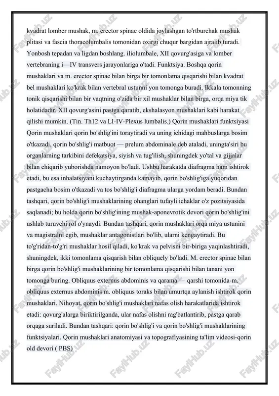m o'rtasidagi bo'shliqda pubic suyagiga kuchli tendon bilan bog'langan. yuqorida aytib o'tilganidek, hayvonlar bilan solishtirganda to'g'ri mushak past boshlanishi, tufayli brakiyasyon (maymun) va mehnat (odamlarda) munosabati bilan yuqori ekstremite rivojlangan mushaklar uchun qo'llab-quvvatlash bo'ldi antropomorfik maymun va inson ko'krak kengaytirish. uning davomida mushak intersectibnes tendineae, yaxshi tikilgan jumpers bilan oqsoqollar (3-4)tomonidan uzilib qoladi. jumpers m. rectus joylashgan vagina old devori bilan birlashadi. intersectiones tendineae ventral mushaklarining sobiq segmental rivojlanishining izlarini ifodalaydi. ular funktsional ahamiyatga ega: mushakni alohida segmentlarga bo'lishib, ularning har biri o'z-o'zidan shartnoma tuzishga imkon beradi. (tin. nn. intercostales.) 2. m. pyramidalis, pyramidal mushak, kichkina mushak uchburchagi, vaginal old devor ostida pubik simfiz orqali tekis mushakdir. bu mushakning rudimentidir, u bir tomonlama va marsupial chaqaloqlarni kiyish uchun sumkani o'rab oladi. (tin. n. subcostalis, iliohypogastricus, ilioinguinalis.) orqa qorin mushaklari m. quadratus lumborum, kvadrat lomber mushak, m. erector spinae oldida joylashgan to'rtburchak mushak plitasi va fascia thoracolumbalis tomonidan oxirgi chuqur bargidan …