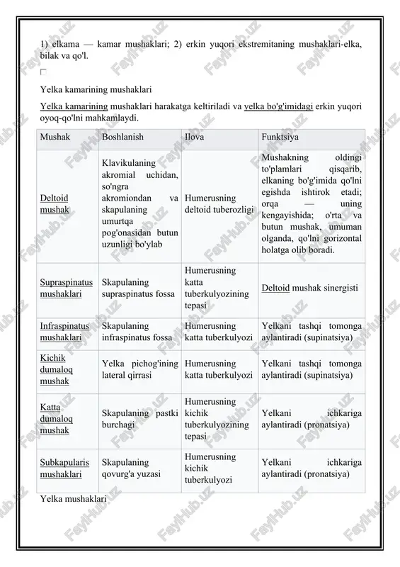 an yuqorida joylashgan tekis to'rtburchak mushakni ifodalaydi. ulnaning kaft yuzasidan boshlanib, radiusning kaft tomoniga yopishadi. yuqori ekstremitalarning mushaklari erkinlik va turli xil qo'l harakatlarini ta'minlaydi. yuqori ekstremitaning mushaklari odatda quyidagi guruhlarga bo'linadi: 1) elkama — kamar mushaklari; 2) erkin yuqori ekstremitaning mushaklari-elka, bilak va qo'l. yelka kamarining mushaklari yelka kamarining mushaklari harakatga keltiriladi va yelka bo'g'imidagi erkin yuqori oyoq-qo'lni mahkamlaydi. mushak boshlanish ilova funktsiya deltoid mushak klavikulaning akromial uchidan, so'ngra akromiondan va skapulaning umurtqa pog'onasidan butun uzunligi bo'ylab humerusning deltoid tuberozligi mushakning oldingi to'plamlari qisqarib, elkaning bo'g'imida qo'lni egishda ishtirok etadi; orqa — uning kengayishida; o'rta va butun mushak, umuman olganda, qo'lni gorizontal holatga olib boradi. supraspinatus mushaklari skapulaning supraspinatus fossa humerusning katta tuberkulyozining tepasi deltoid mushak sinergisti infraspinatus mushaklari skapulaning infraspinatus fossa humerusning katta tuberkulyozi yelkani tashqi tomonga aylantiradi (supinatsiya) kichik dumaloq mushak yelka pichog'ining lateral qirrasi humerusning katta tuberkulyozi yelkani tashqi tomonga aylantiradi (supinatsiya) katta dumaloq mushak skapulaning …