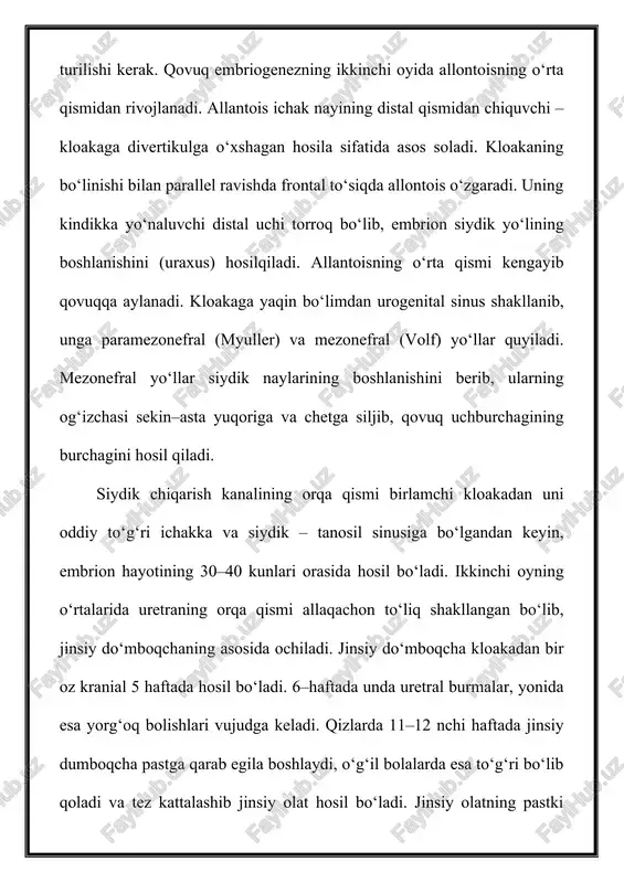 da qovuq teppasining divertikuli ko‘proq tashxislanadi. oqma atrofida teri bo‘kib qolgan, yallig‘langan, to‘qimaning granulyatsiyalangan joyi bo‘ladi. infeksiya tushganda oqmadan yiringli suyuqlik ajraladi. agar oqma to‘liq bo‘lsa, tashxislashda unga metilen ko‘kini yuborish yordam beradi. siydikda metilen ko‘kining borligi oqmaning qovuq bilan aloqasi to‘g‘risida guvohlik beradi. oqmani tashxislashda yana fistulografiya va sistografiya qilinadi. to‘liq bo‘lmagan oqmani o‘t yo‘li oqmasidan farq qilish kerak. uraxus kistasini tashxislashda anchagina qiyinchilik paydo bo‘ladi. kista katta o‘lchamda bo‘lsa, uni qorning o‘rta chizig‘i bo‘yicha qovuq va kindik o‘rtasida paypaslashga muvaffiq bo‘linadi. davolash. to‘liq oqma aniqlanganda davolash uni kesib olib tashlashdan iborat, ya’ni siydik yo‘li kindik bilan birga qorin pardadan tashqarida qovuqqacha ajratiladi va bog‘lanib, kesib olib tashlanadi. bunday operatsiyani bolalarga 6 oyligidan va katta yoshdagilarga qilish tavsiya etiladi. to‘liq bo‘lmagan oqmalarda oldin konservativ davo buyuriladi: kaliy permaganat bilan vanna qilinadi, kindikni 1 % li brilliant ko‘ki bilan tozalanadi, kumush nitratning 2–10 % li 146 eritmasi bilan kuydiriladi. bir …