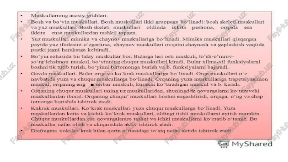 ko'krak va orqa mushaklari - Page 4