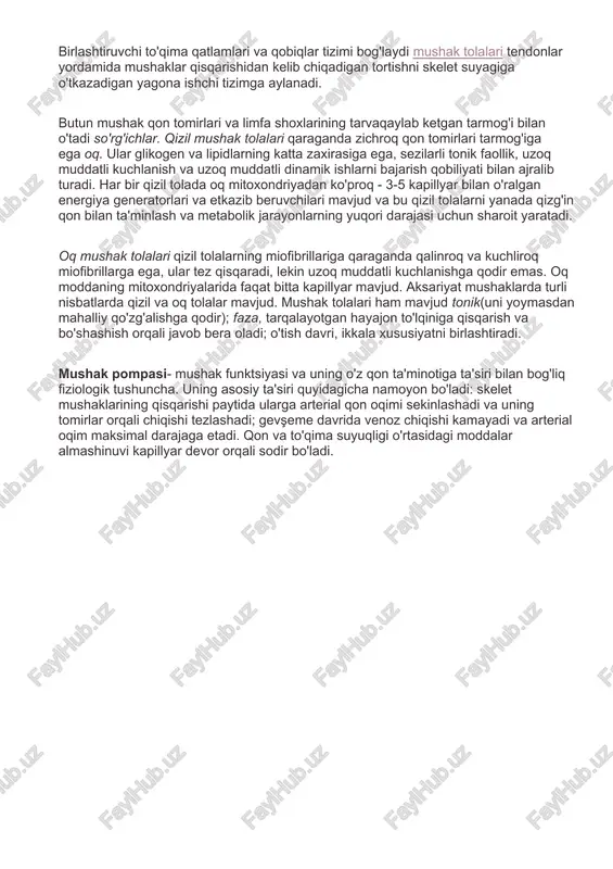 shaklarning kuchi maydonga bo'linadi uning fiziologik diametri(ya'ni, mushakni tashkil etuvchi barcha mushak tolalari maydonlarining yig'indisi). masalan: o'rtacha odamda gastroknemius mushaklarining kuchi (mushakning kesma qismining 1 sm 2 uchun) mavjud. - 6,24; bo'yinning ekstensorlari - 9,0; triceps elka mushaklari - 16,8 kg. markaziy asab tizimi bir vaqtning o'zida qisqarishda ishtirok etuvchi funktsional birliklar sonini, shuningdek, ularga yuborilgan impulslar chastotasini o'zgartirish orqali mushaklarning qisqarish kuchini tartibga soladi. impulslarning ortishi kuchlanishning kattaligi oshishiga olib keladi. mushaklar ishi. mushaklarning qisqarishi jarayonida potentsial kimyoviy energiya potentsial mexanik kuchlanish energiyasiga va harakatning kinetik energiyasiga aylanadi. ichki va tashqi ishlarni farqlang. ichki ish mushak tolasining qisqarishi paytida ishqalanish bilan bog'liq. tashqi ish o'z tanangizni, yukingizni, tananing alohida qismlarini (dinamik ish) kosmosda harakatlantirganda o'zini namoyon qiladi. bu koeffitsient bilan tavsiflanadi foydali harakat(samaradorlik) mushak tizimi, ya'ni. bajarilgan ishning umumiy energiya xarajatlariga nisbati (inson mushaklari uchun samaradorlik 15-20% ni tashkil qiladi, jismoniy rivojlangan odamlar uchun bu ko'rsatkich biroz yuqoriroq). statik …