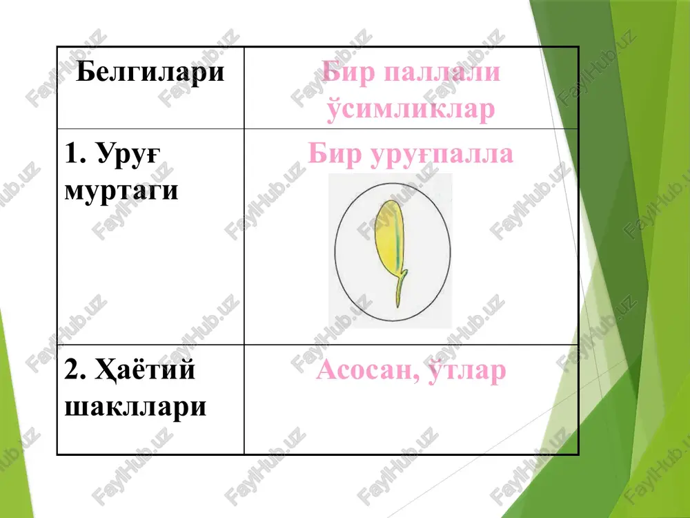 keng qalami. tojbargi pushti rangli, teskari cho'ziq nashtarsimon, to'mtoq, yuqoridagilari bir muncha yirik. may oyida gullaydi. manzarali. qabila. chuchmomanamolar- tecophilaeles oila. chuchmomadoshlar-ixioliriaceae turkum. chuchmoma-ixiolirion herb. tur.tatar chuchmomasi- ixiolirion tataricum pall. ko'p yillik piyozli o'simlik. poyasi tuksiz, silliq, bargli. barglari ingichka. gulqo'rg'oni qo'rg'iroqsimon, 6 bargli. changchilari 6 ta. urug'chining tumshuqchasi 3 ta. donli ekinlar orasida, bog'lar, dalalarda o'sadi. qabila. nargisnamolar- amaryllidales oila. piyozdoshlar-alliaceae turkum. piyoz-allium l. tur. osh piyoz–allium cepa l. ko'p yillik o'simlik. poyasi 15 - 65 sm, tubi yarmigacha barg novi bilan qoplangan, bargi ingichka. to'pguli sharsimon, ko'pgulli yarim sharsimon yoki kamgulli soyabonsimon. gulbargi och pushti, havo rang yoki och xira binafsha rang. madaniy o'simlik. qabila. nargisnamolar- amaryllidales oila. nargisdoshlar-amaryllidaceae turkum. nargis-narcissus l. tur. soxta nargis-narcissus pseudonarcissus l. bo'yi 20 - 25 sm li ko'p yillik o'simlik, piyozi sharsimon tuxumsimon, eni 3,5 - 4 sm, to'q ko'ng'ir po'st bilan qoplangan. barglari 4 - 6 ta, qalami. gullari bittadan o'rnashgan, …