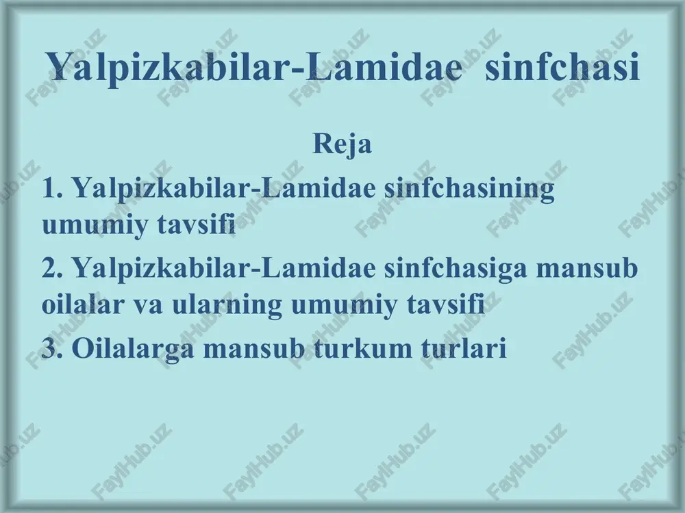 stsiamin va skoilamin alkoloidlarga boy. ituzum - solanum. bir va ko’p yillik o’t ba'zan chala buta o’simlik. bu turkumning 1300 turi ma'lum. ko’pchilik turlari xalq xo’jaligida katta ahamiyatga ega.o’simliklardir. uning vatani janubiy amerika ya'ni chili davlati hisoblanadi. manzarali va oziq-ovqat turlari manzarali petuniya – petunia hybrid. oziq-ovqat sifatida (pomidor, kartoshka (solanum tuberosum) , baqlajon (s.melongena) kartoshka-solanum tuberosum- ko’p yillik o’t o’simlik bo’lib, uch xil novdaga ega, ya’ni yer usti ikki hil shakli o’zgargan yer osti novdalari-tuganaklar va stolonlar. yer ustki poyasining (novdalarining) bo’yi 60-100 sm, shohlangan, mevalangandan keyin yotib o’suvchi. qalampir-(garmdori)-capsicum bu turkumning keng tarqalgan turlaridan biri qalampirdir. bir yillik o’t o’simlik. gullari yakka o’rnashgan. mevasi qizil rangda. urug’i rezavor meva. mevasi a va c vitaminlarga boy. chingil- lysium barbarum l. pechaknamolar-convolvulales qabilasi bu qabilaga 2 ta – pechakdoshlar va zarpechakdoshlar oilalari kiradi. pechakdoshlar-convolvulaceae oilasi bu oilaga 50 ga yaqin turkumga mansub 1500 tur kiradi. asosan tropik va subtropik hududlarda …
