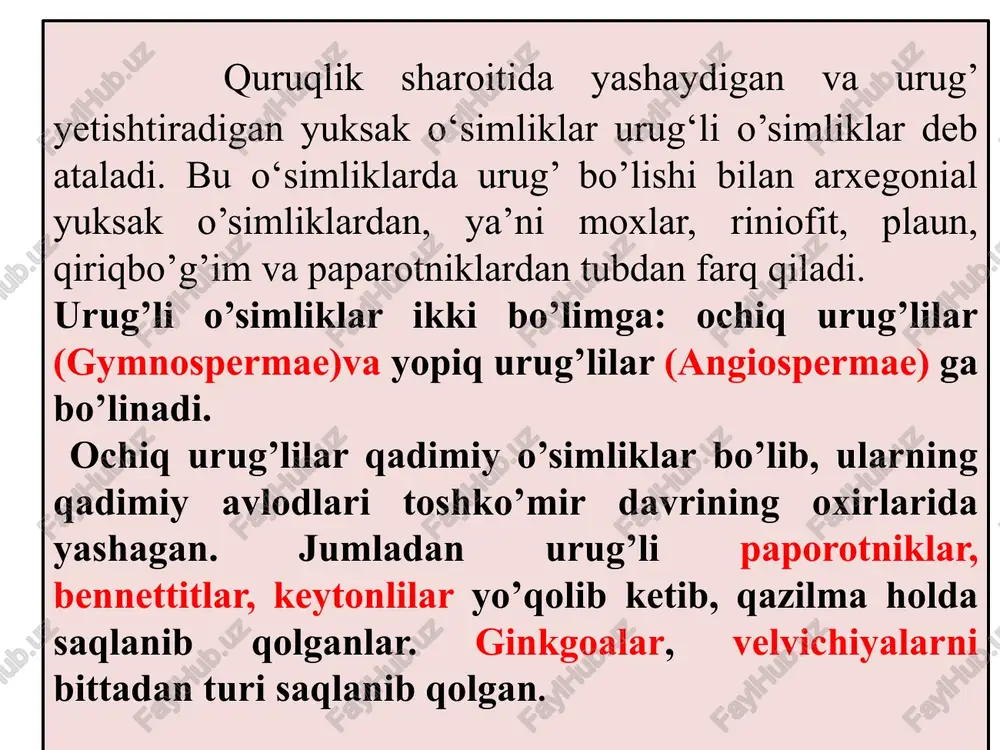 ochiqurug’lio’simliklar - Page 4