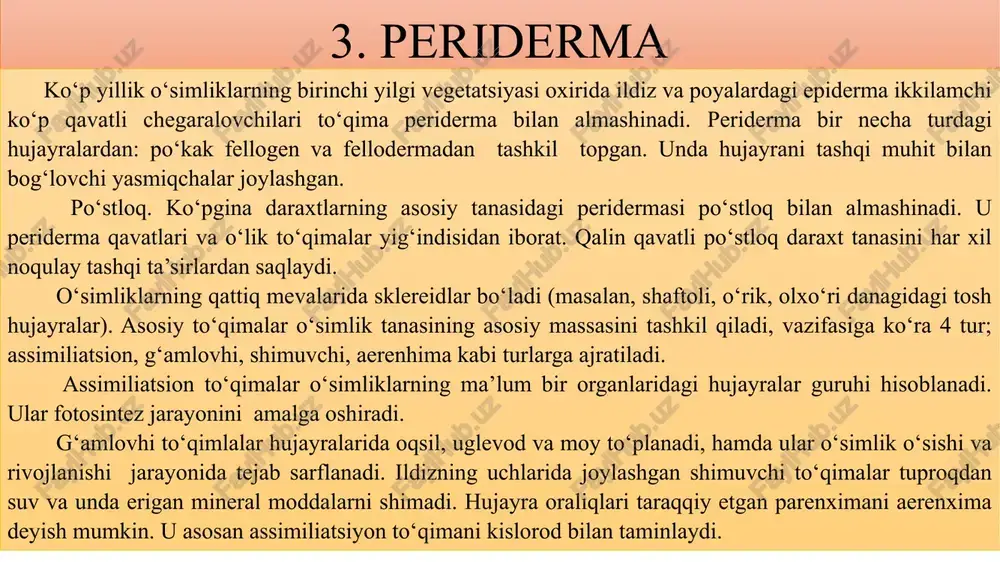 qoplovchi to'qimalar - Page 4
