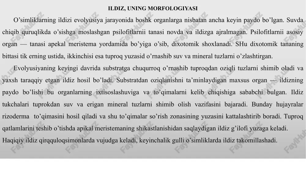 z sistemasi poyaning pastki qismidan o’sib, qo’shimcha ildizlardan tashkil topadi va popuk ildiz deb ataladi. popuk ildizlar asosan bir pallali o’simliklarga xosdir. qo’shimcha ildizlar ikki pallali o’simliklarda ham poyaning pastki qismida hosil bo’ladi (masalan, g’umay, ajriq, qo’ypechak, bo’ritikan, kampirchopon va boshqalarda). yopiq urug’li o’simliklarning ko’pchilik vakillarida urug’ unib chiqqandan so’ng, avvalo asosiy o’qildiz rivojlanadi, lekin ma’lum vaqt o’tgandan so’ng, asosiy o’qildiz quriydi va qo’shimcha ildizlar taraqqiy etadi. bu xildagi ildiz sistemasiga ikkilamchi gomoriz deyiladi (masalan, qulupnay, kartoshka, oqqaldirmoq va boshqalar). ba’zan qo’shimcha ildizlar, qirqilgan ildiz poyalardan ham rivojlanadi (masalan, zubturum) va ipsimon ildiz sistemasini hosil qiladi. yo’ng’ichqada qo’shimcha ildizlar ildizpoyadan taraqqiy etadi, eniga o’sib, ikkilamchi o’qildiz hosil qiladi va kuchli tarmoqlanadi. image1.jpeg image2.jpeg image3.jpeg image4.jpeg image5.jpeg image6.jpeg image7.jpeg image8.jpeg image9.jpeg image10.jpeg image11.jpeg image12.jpeg /docprops/thumbnail.jpeg