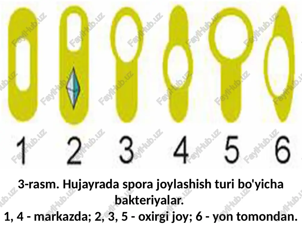 hishi mumkin. e’tiboringiz uchun rahmat! image1.png image2.png image3.png image4.png image5.png image6.png image7.png image8.png image9.png image10.png image11.png image12.png /docprops/thumbnail.jpeg