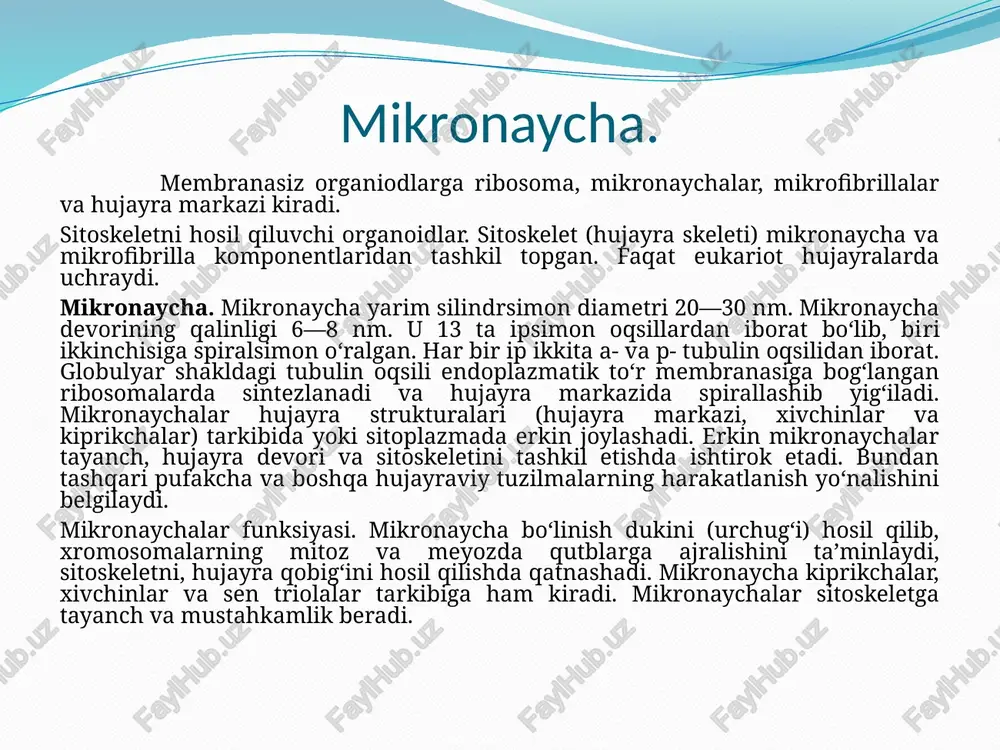 oning tashqi membranasiga bog‘la- nishi (bog‘langan ribosomalar), sitoplazmada yakka holda (erkin ribosomalar) yoki bir qancha guruhchalar (poliribosoma) holida bo‘lishi mumkin. erkin ribosomalarda hujayra o‘z faoliyati uchun zarur oqsillar sintezlanadi (masalan trofik oziq kiritmalari oqsillari), biriktirilgan ribosomalarda asosan hujayradan tashqariga chiqariladigan (turli oqsil tabiatli gormonlar) va hujayraning qurilishi uchun kerak bo‘lgan oqsillar sintezlanadi. ribosomaning kichik subbirligining funksiyasi i-rnkni biriktirish bo‘lsa, katta subbirlikning funksiyasi polipeptid zanjirni sintezlashdir (17-rasm). ribosomaning katta subbirligida ikkita faol qism p — peptidil va a — aminoatsil qismlari mavjud. a — (aminoatsil) qismiga amino- kislotani o‘ziga biriktirgan transport rnk birikadi, so‘ng u p — (peptidil) qismiga o‘tadi, shunda aminokislota o‘zidan oldingi aminokislotaga peptid bog‘i bilan birikadi. demak, ribosoma aminoatsil qismiga aminokislotalar birikadi, peptidil qismida aminokislotalar bir-biri bilan peptid zanjirini hosil qiladi. mitoxondriya va plastidalarda ham ribosomalar mavjud, lekin ular sitoplazma ribosomalaridan kichikroq, ko‘proq prokariot ribosomalariga o‘xshash. testlar mustaqil yechish uchun test savollari 1.o‘z-o‘zidan ko‘paya oladigan organoidni aniqlang. a) …
