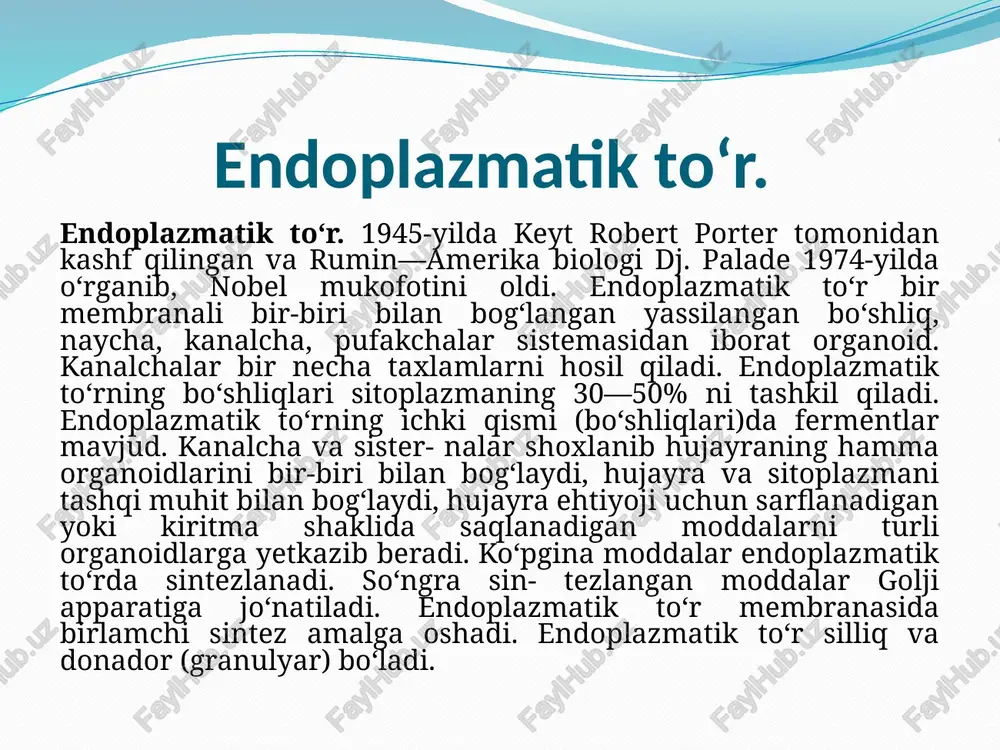 endoplazmatik to‘r - Page 4