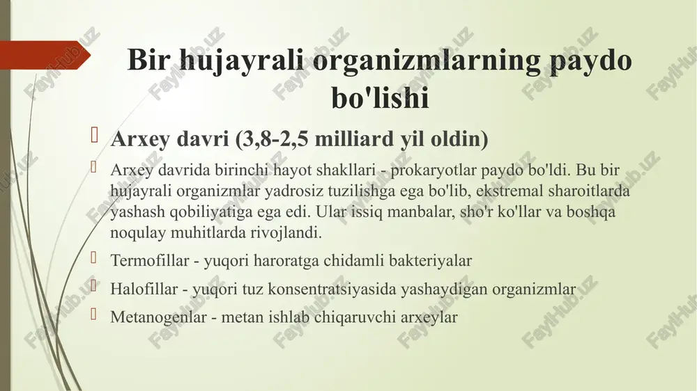 o'simliklarevolyutsiyasi - Page 4