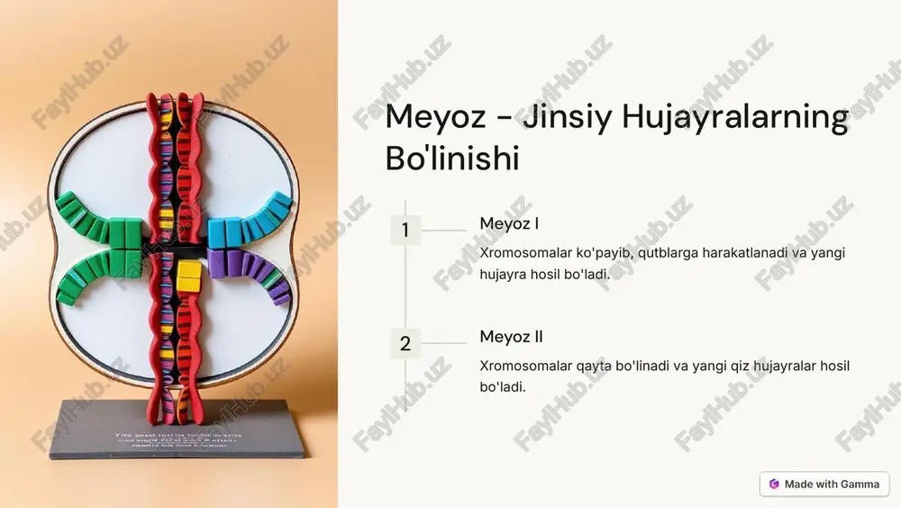 eukariot hujayralar va ularning ko'payishi - Page 4