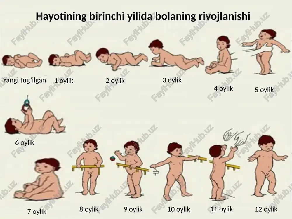 g’un fiziologik epiteliylanish morfolaksis epimorfoz somatik embronigenez kompensator gipertrofiya regeneratsiyali gipertrofiya reperativ regeneratsiya transplantatsiya gomo-transplantatsiya auto-transplantatsiya kseno-transplantatsiya izo-transplantatsiya strukturaviy gometostaz organizm morfoligik holatini saqlash molekulyar, hujayra, to‘qima, organ darajasida mexanizmlari fiziologik, reperativ, regenerativ gomeostaz turlari genetik gomestaz kimyoviy gomestaz sturkturaviy gomestaz kimyoviy gomestaz qon, limfa, to‘qima, suyuqli doimiylikni saqlash osmatik, buferlik, holati, rn ushlash nerv boshqariluv tez, qisqa gumoral boshqariluv sekin, uzoq davom etuvchi genetik axborotlar doimiyligini saqlash begonalar irsiy axborotlar manbai bakteriya, viruslar, organizm o‘zining mutatsiyaga uchragan hujayralari begona organizm, hujayra, to‘qimalari mexanizmlar spetsifik nospetsifik gumoral hujayraviy immunitet allergik reaksiyalar teri baryeri lizotsim fagitsitoz taʼminlanadi reparatsiya hisobiga replikatsiya hisobiga somatik hujayrnotipining diploidlik holati hisobigaalar ge genetik gomeostaz stress – reaksiya yoki umumiy adaptatsion sindrom g. selye tomonidan 1936 yilda kashf etilgan. stress – organizmning nospetsifik reaksiyasi bo‘lib, stress odamning tabiatiga bog‘liq emas somatik va ruhiy stress xillari mavjud ruhiy stress tez yuzaga chiqadi – taʼsir miya po‘stlog‘i hujayralaridan simpatik …