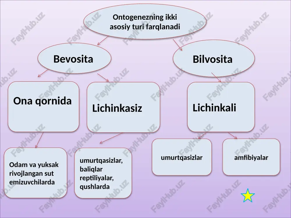 vojlanish (embriogenez). urugʻlanish kariogamiya singamiya , maydalanish embriogenezning murtak hujayralarining mitoz yo‘li bilan qayta-qayta bo‘linishi maydalanish deyiladi. maydalanish bosqichida bo‘linayotgan hujayralarda yaʼni bo‘linish oldidan o‘sish kuzatilmaydi, shu hisobiga murtakning tana hajmi o‘zgarmaydi, hosila hujayralar bo‘linish ro‘y bergan sari maydalashib boradi va hujayralar bir-biriga zich joylashgan bo‘ladi. maydalanish jarayonida hosil bo‘layotgan hujayralar blastomerlar deb nomlanadi urug‘langan tuxum hujayrasining bo‘linishi tuxum hujayrasidagi sariqlik va uning sitoplazmada tarqalishiga bog‘liq ravishda ro‘y beradi: olegoletsital tuxum hujayrasining maydalanishi bir tekis to‘la goloblastik bo‘ladi. bunday maydalanish lansetnik va sut emizuvchilarga xos . teloblastik tuxum hujayrasida sariqlik bo‘linish botiqlarining butun zigota bo‘yicha davom etishiga halaqit beradi natijada animal qutbda bo‘linish jadalroq boradi bunday bo‘linish meroblastik maydalanish deyiladi. ayrim sudralib yuruvchi va qushlarga xos o‘ta teloletsital tuxum hujayralarida maydalanish animal qutb sohasidagi disksimon chegaralangan maydondagina ro‘y beradi, buni diskondal maydalanish deyiladi. goloblastik maydalanish meroblastik maydalanish , maydalanishning biologik ahamiyati: zigota genotipining ko‘payishi yuzaga keladi; yadro va sitoplazma nisbati …