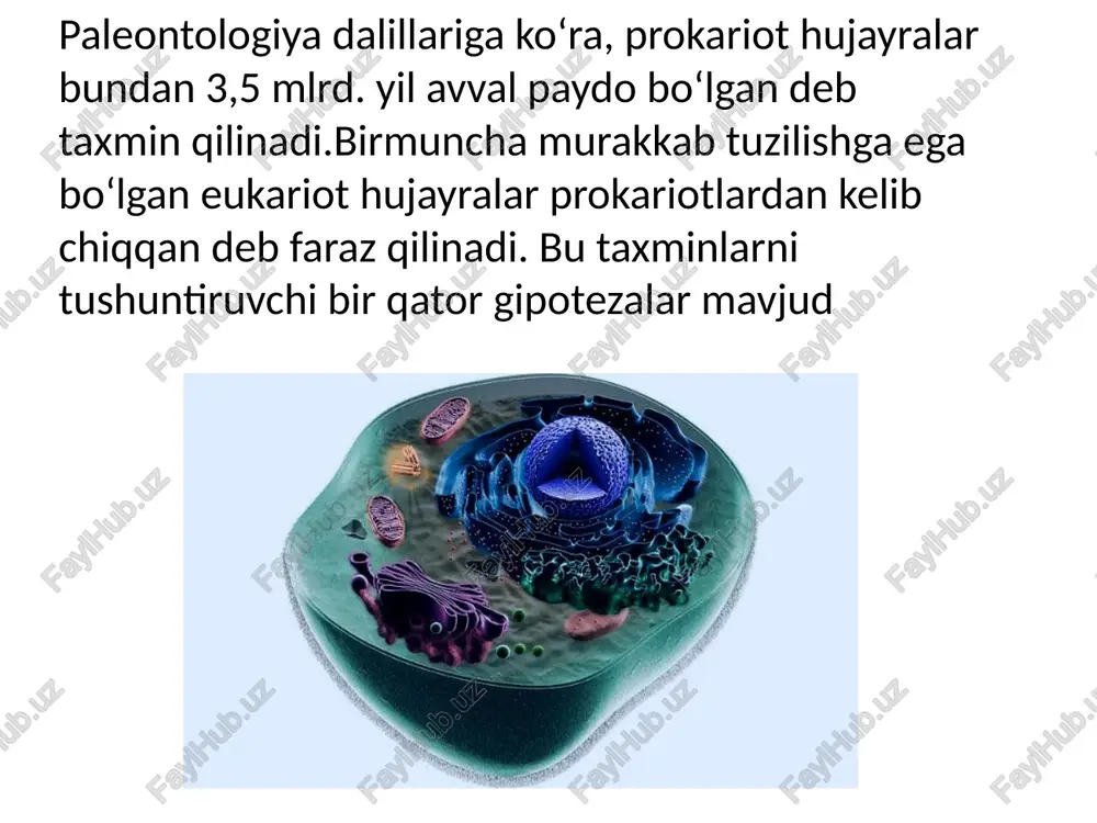 prokariot va eukariot hujayralarning umumiy tuzilishi - Page 4