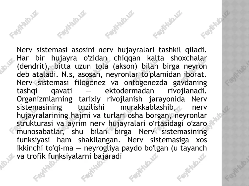 nervsistemasi - Page 4