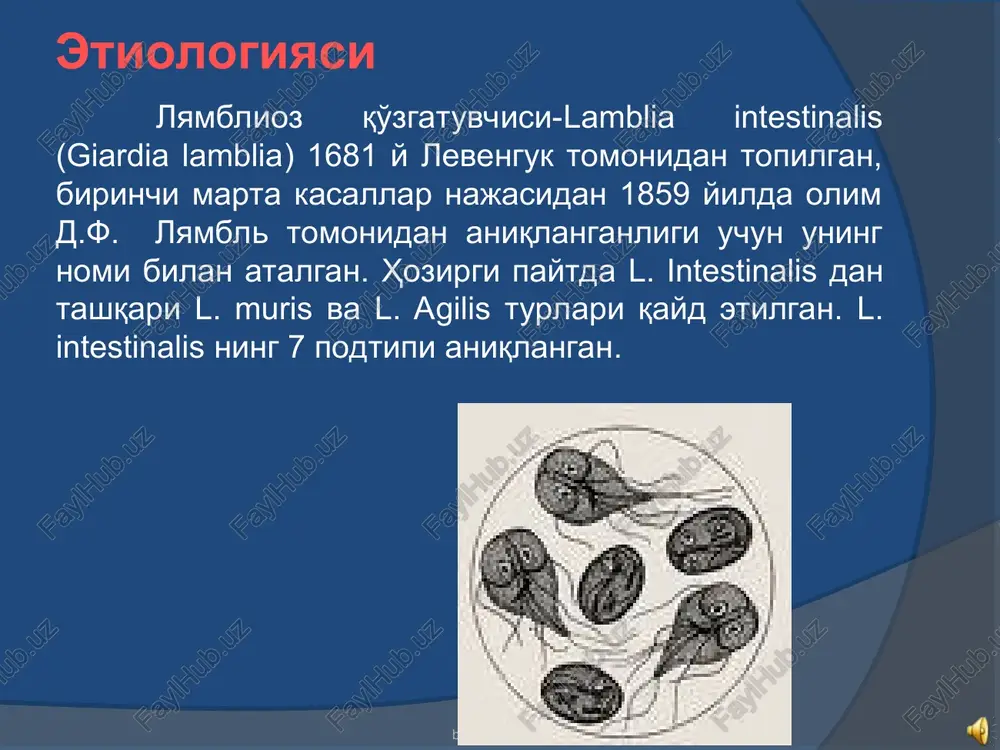 ubklinik lyamblioz- funktsional buzilishlar, immunologik o'zgarishlarning bo'lishi, kasallikda yaqqol simptomatikaning namoyon bo'lmasligi va bemor o'zini yaxshi his qilishi bilan xarakterlanadi. funktsional buzilishlar jumlasiga ingichka ichakda uglevodlar, yog'lar, ayrim vitamin (a,v12,s) ning so'rilishning buzilishi kiradi. immunologik o'zgarishlarga periferik qonda t-limfotsitlarning pasayishi, zardobda t-limfotsitlar sonining, lyamblioz antigeni bilan qon zardobini immunoflyuorestsent, immunoferment, radioimmun metodlar yordamida tekshirganda ijobiy natija berishi kiradi. bemorning duodenal suyuqligida s-reaktiv oqsil topiladi. endoskopiya, aspiratsion biopsiya va bioptatlarni gis tologik tekshirganda yuza duodenit va eyunitga xarakterli o'zgarishlar topiladi. buzich@mail.ru buzich@mail.ru klinikasi 12 barmoqli ichak lyambliozli diskineziyasi-bemorlarni simillovchi og'riqlar va epigastral sohasida noxush sezgilar bezovta qiladi. quldirashlar qorinning yuqori qismida bo'ladi. paypaslaganda epigastriyada doimiy bo'lmagan og'riq aniqlanadi. rentgenologik tekshirishda ko'p bemorlarda 12 barmoqli ichak tonus va motorikasining buzilishlari qayd qilinadi. endoskopiyada duodenal reflyuks aniqlanadi. buzich@mail.ru buzich@mail.ru klinikasi lyambliozli duodenit- yuqoridagi simptomlar va doimiy, bir oz kuchli epigastriyadagi og'riqga xos. og'riqlar simillovchi xarakterda bo'lib, asosan kechasi, ko'proq ertalabga yaqin vaqtda bemorlarni …