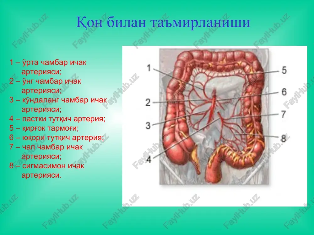 : profuz kon ketganda ichak perforatsiyasi toksik dilyatatsiyasida yo'g'on ichak divertikullari va divertikulyozi soxta divertikul chin divertikul klinikasi divertikulezni klinik belgilari bulmaydi. agar divertikul asoratlansa, masalan yalliglansa unda korinning pastki soxasida ogrik, diareya, kungil aynish, ishtaxani susayishi, subfebril temperatura paydo buladi. palpatsiyada korinning pastki soxasida ogrik aniklanadi va klinik belgilari utkir appenditsitga uxshab ketadi. divertikul erilsa peritonit rivojlanadi va uning klinik belgilari paydo buladi. ayrim xollarda abstsess klinikasi xam uchraydi. diagnostikasi diagnostikasi anamnez, rentgenologik va kolonoskopik tekshiruvlar natijasiga asoslanadi. endoskopik tekshiruvlar sigmasimon ichak divertikuli ichak mahsuloti bilan to'lgan divertikulit (stenoz) qonayotgan divertikul kolonoskopiya yo'g'on ichak divertikulini endoskopik ko'rinishi davolash konservativ: parhez spazmolitiklar antibiotiklar sulfanilamid preparatlari antiseptik vositali xo'qnalar jarrohlik usulida davolashga ko'rsatma: divertikul perforatsiyasi o'tkir ichak tutilishi massiv qon ketishi juda kuchli divertikulitda medikamentoz davo naf bermaganda ichki oqmalar rivojlanganda quyidagi jarrohlik amaliyotlari bajariladi: gemikolektomiya sigmasimon ichak rezektsiyasi yo'g'on ichak poliplari 75% to'g'ri va sigmasimon ichakda uchraydi yo'g'on ichakning yuvenal …