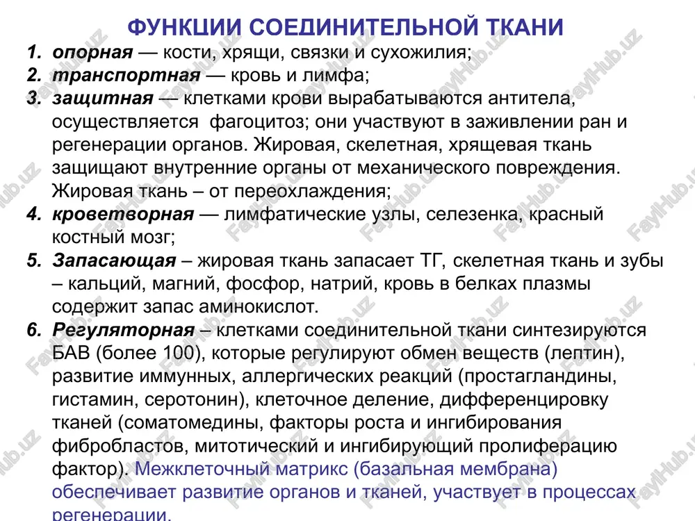 olisaxaridov, neobxodimix dlya postroeniya mejkletochnogo matriksa regulyatsiya obmena soedinitelnoy tkani sintez kollagena i gag proteoglikanov glyukokortikoidi starenie organizma mineralokortikoidi androgeni (testosteron) somatomedin – vklyuchenie sulfatov v gag (fafs) starenie soedinitelnoy tkani umenshenie soderjaniya n2o i otnosheniya osnovnoe veshestvo/volokna snijenie soderjaniya gialuronovoy kisloti izmenenie sootnoshenie otdelnix glikanov svoystva 1. visokaya elastichnost (elastin), 2. visokaya prochnost (kollagen), 3. voloknistost, 4. ploxaya rastvorimost v vode, 5. visokaya ustoychivost k denaturatsii, 6. ploxaya perevarivaemost v jkt, 7. nizkaya antigennost, 8.nizkaya biologicheskaya tsennost iz-za ogranichennogo aminokislotnogo sostava. belki soedinitelnoy tkani kollagen — fibrillyarniy belok, osnovnoy komponent mejkletochnogo matriksa. obladaet ogromnoy prochnostyu i prakticheski ne rastyajim (prochnee stalnoy provoloki togo je secheniya, on mojet viderjivat nagruzku v 10000 raz bolshuyu sobstvennogo vesa). eto samiy rasprostranenniy belok organizma, na nego prixoditsya ot 25 do 33% obshego kolichestva belka v organizme, t.e. 6% massi tela. okolo 50% vsex kollagenovix belkov soderjitsya v tkanyax skeleta, okolo 40% — v …