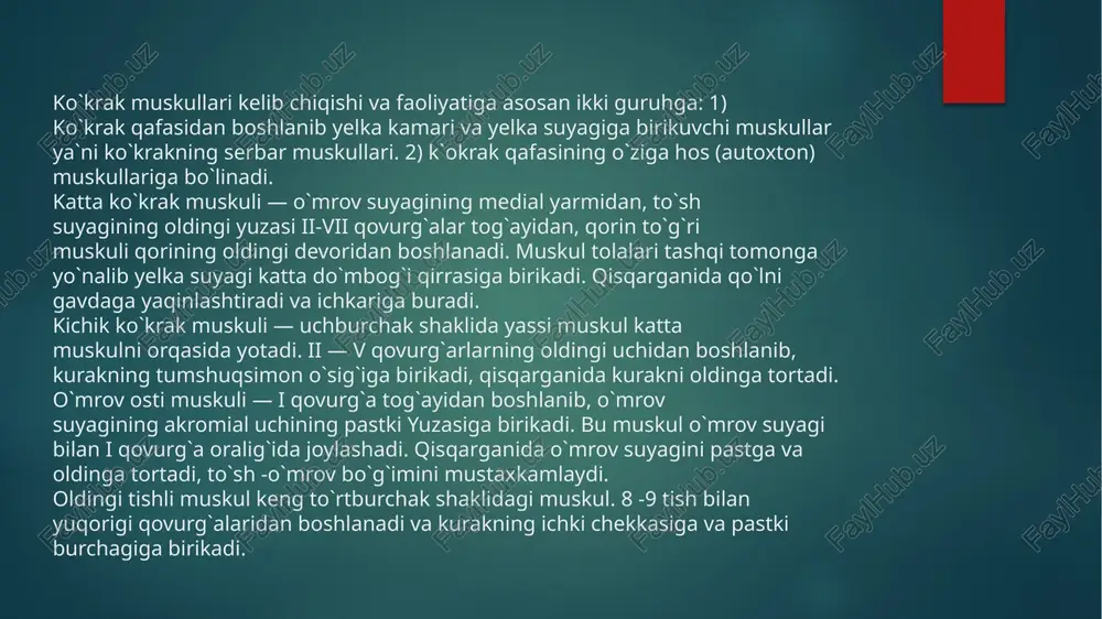 ar mushagi. qorinning tashqi qiyshiq mushagi. bel sohasidagi uchburchak. dumbaning o`rta mushagi. e’tiboringiz uchun rahmat image6.jpeg image7.jpeg image1.png image2.png image3.png image4.png