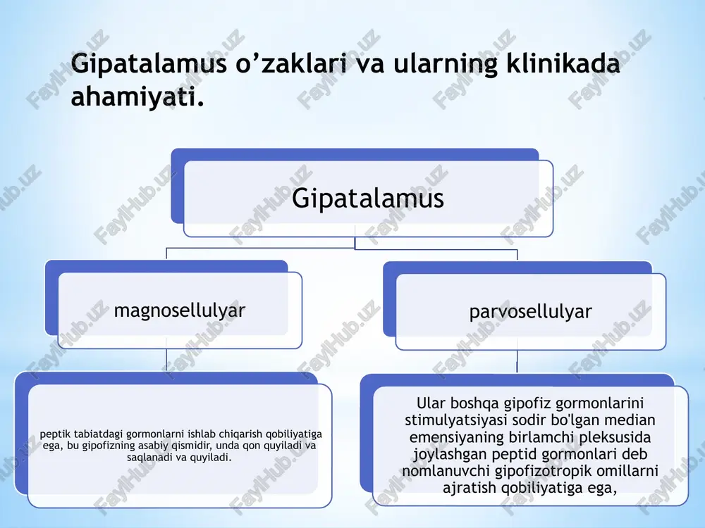orqa miya o’zaklarining joylashuvi va ularning ahamiyati - Page 4