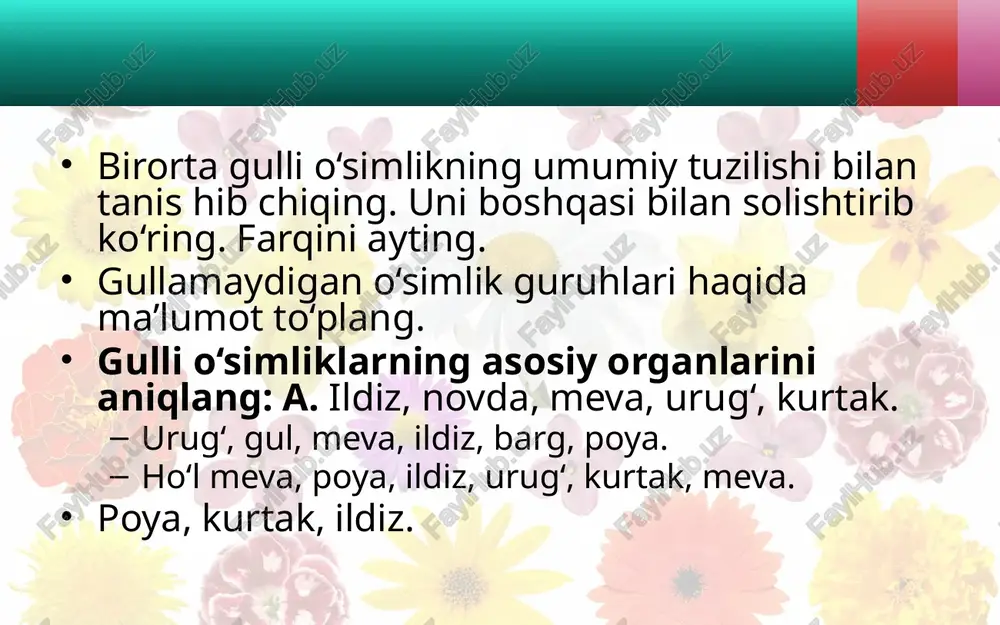 gullari turlicha shakl va rangli gulqo‘rg‘onlar - Page 4