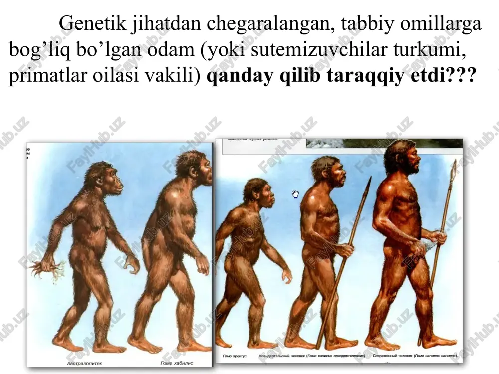 ‘rtasidagi munosabatlarni boshqaruvchi harakatlar qoidasidir. ijtimoiy me’yorlarni 3 asosga ko'ra tasniflash mumkin: 1) jamoatchilik munosabatlarini nazorat qilish sohasi bo‘yicha (udum, marosim, odat, urf-odat, huquqiy, axloqiy me’yorlar, koorporativ me’yorlar, siyosiy me’yorlar, diniy tashkilot me’yorlari, talabalar yotoqxonasi me’yorlari, estetik me’yorlar, etiket me’yorlari kabi turlarga ajratiladi) 2) kelib chiqish usuliga ko'ra (o’z-o’zidan paydo bo’luvchi, ongli ravishda yaratiluvchi normalar) 3) mustahkamlanish usuliga ko'ra. (og’zaki, yozma) ijtimoiy sanksiya ijtimoiy sanksiya - bu jamiyatdagi me’yorlarni jamiyat a’zolari tomonidan bajarilishi yoki bajarilmasligiga nisbatan boshqa bir kishilar tomonidan bildiriladigan jazolash yoki rag‘batlantirish yo‘llaridir. (sanktsiya-ijobiy yoki salbiy bo’lishi mumkin) sanksiyalar to‘rt turi ajratilgan bo‘lib, ular: 1 pozitiv 2 negativ 3 formal (rasmiy 4 noformal (norasmiy pozitiv (ijobiy) negativ (salbiy) rasmiy (formal) rasmiy-pozitiv sanksiyalar (r+) —jamoatchilik oldida shaxsning rasmiy tashkilotlar tomonidan rag‘batlantirilishi - hukumat sovrinlari, davlat medallari, stipendiyalar. rasmiy-negativ sanksiya (r-) —yuridik qonunlar, hukumat qarorlari, buyruq va farmoyishlarida ko‘rsatilgan jazolashlar — qamoq jazosi, fuqarolik huquqidan mahrum etish, ishdan bo‘shatish, jarima …