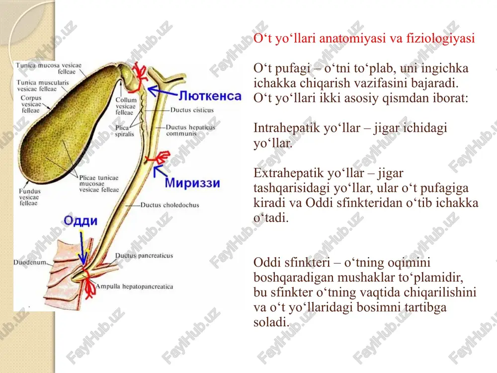 bolalar kasalliklari propodevtikasi fanidan tayyorlagan taqdomoti - Page 4