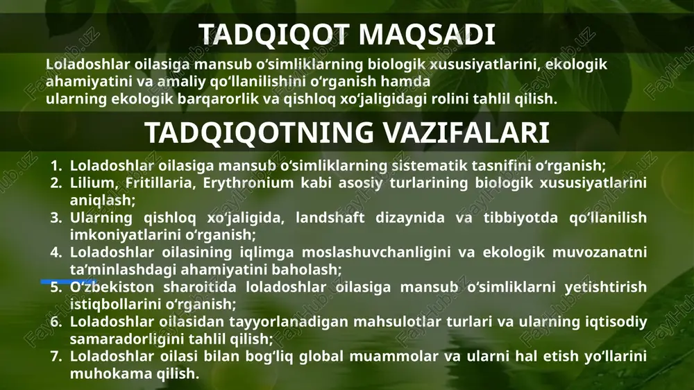 iklar dunyosining juda muhim qismini tashkil etadi. bu oilaning o‘simliklari asosan tropik va subtropik mintaqalarda o‘sadi va ularning ekologik, iqtisodiy va dorivor ahamiyati keng.loladoshlar oilasiga mansub o‘simliklar, shuningdek, o‘zining estetik go‘zalligi,morfologik xususiyatlari va qishloq xo‘jaligida qo‘llanilishi bilan ajralib turadi.masalan, lilium, fritillaria, erythronium kabi turlar nafaqat landshaft dizayni va bog‘dorchilikda keng qo‘llaniladi, balki ularning ba’zi turlari farmatsevtika sanoatida ham ishlatiladi.ushbu o‘simliklar ekologik moslashuvchanligi bilan ajralib turadi. ular o‘zlarining o‘sish sharoitlariga moslashish qobiliyati tufayli, turli tuproq va iqlim sharoitlarida o‘sadi. bundan tashqari, loladoshlar oilasiga mansub o‘simliklar, ekologik muvozanatni saqlashda ham muhim rol o‘ynaydi, chunki ularning ildiz tizimi tuproqni mustahkamlashga yordam beradi va biologik xilma-xillikni qo‘llab-quvvatlaydi. bu o‘simliklar tuproq eroziyasini oldini olishda, yer unumdorligini oshirishda va boshqa ekosistemalarga ijobiy ta’sir ko‘rsatishda ham muhim ahamiyatga ega.loladoshlar oilasining turlari, ayniqsa iqlim o‘zgarishlariga qarshi yuqori chidamliligi bilan ajralib turadi. ular quruq va issiq hududlarda yaxshi o‘sadi va eng yaxshi hosilni beradi. shuning uchun, iqlim o‘zgarishlari, tuproq …
