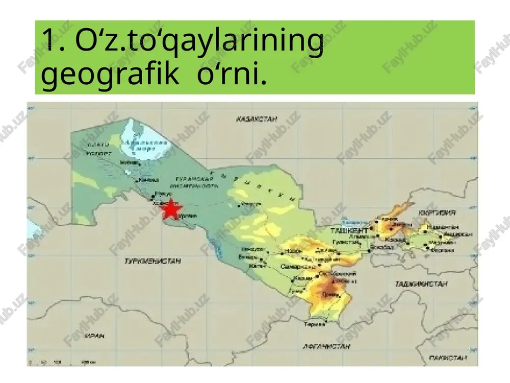 to‘qayzoro‘simliklari va ularning ichki tuzilishi - Page 4
