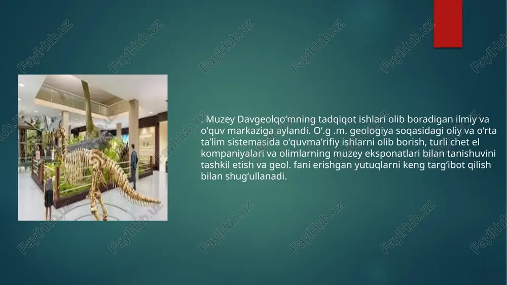 oʻzbekiston geologiya muzeyi - Page 4