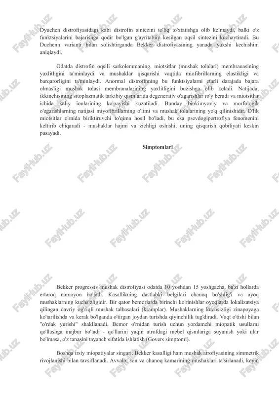 soslangan. bekker mushak distrofiyasi holatlarining umumiy sonining taxminan 30% ni tashkil qiladi. "yangi" mutatsiyalar. gen x xromosomasining qisqa elkasining 21 ta lokusida (xp21.2-p21.1) joylashgan. bemorlarning taxminan 65-70 foizida deletsiya, 5 foizida dublikatsiyalar, qolganlarida esa nuqta mutatsiyalari mavjud. ushbu strukturaviy genlarning qayta tuzilishi dyuchen distrofiyasidagi kabi distrofin sintezini to'liq to'xtatishga olib kelmaydi, balki o'z funktsiyalarini bajarishga qodir bo'lgan g'ayritabiiy kesilgan oqsil sintezini kuchaytiradi. bu duchenn varianti bilan solishtirganda bekker distrofiyasining yanada yaxshi kechishini aniqlaydi. odatda distrofin oqsili sarkolemmaning, miotsitlar (mushak tolalari) membranasining yaxlitligini ta'minlaydi va mushaklar qisqarishi vaqtida miofibrillarning elastikligi va barqarorligini ta'minlaydi. anormal distrofinning bu funktsiyalarni etarli darajada bajara olmasligi mushak tolasi membranalarining yaxlitligini buzishga olib keladi. natijada, ikkinchisining sitoplazmatik tarkibiy qismlarida degenerativ o'zgarishlar ro'y beradi va miotsitlar ichida kaliy ionlarining ko'payishi kuzatiladi. bunday biokimyoviy va morfologik o'zgarishlarning natijasi miyofibrillarning o'limi va mushak tolalarining yo'q qilinishidir. o'lik miotsitlar o'rnida biriktiruvchi to'qima hosil bo'ladi, bu esa psevdogipertrofiya fenomenini keltirib chiqaradi - …