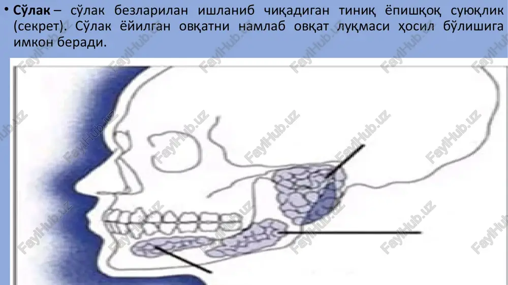 g pasayishiga olib kelishi aniqlandi; rn ni tiklash uchun 1 soatdan ko'proq vaqt kerak bo'ladi. bemorlarda rn o'zgarishlar dinamikasi har xil bo'lib, bu ko'rsatkichdan odamlarni kariesga chidamli va kariesga sezgir guruhlarga bo'lish uchun o'ziga xos test sifatida foydalanish imkonini beradi. og'iz bo'shlig'ining optimal rn darajasini saqlab turish uchta tampon tizim tomonidan amalga oshiriladi: bikarbonat, fosfat va oqsil. ular birgalikda og'iz to'qimalariga kislotali yoki gidroksidi hujumga qarshi birinchi himoya chizig'ini tashkil qiladi. og'iz bo'shlig'ining barcha bufer tizimlari turli xil sig'im chegaralariga ega: fosfat eng faol rn 6,8-7,0, gidrokarbonat - rn 6,1-6,3, oqsil esa turli rn qiymatlarida bufer sig'imini ta'minlaydi. bikarbonat tizimi so'lakning buferlash xususiyatlarining 80% ni ta'minlaydi, garchi u juda beqaror. protein bufer tizimi og'iz bo'shlig'ida sodir bo'ladigan biologik jarayonlarga yaqinlik qiladi. u suvda yaxshi eriydigan oqsillar bilan ifodalanadi. ushbu tizim 944 dan ortiq turli xil oqsillarni o'z ichiga oladi. davolash va profilaktika choralarini ishlab chiqishda tish shifokorlari tish kariesi va …