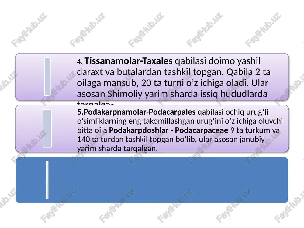 lda pishib yetiladi. changlanish iyun oyida bo’lib o’tadi va nutsellusga yopishgan chang kelgusi yilgacha qolib ketadi. kelgusi yili yozda chang unadi keyin otalanish hodisasi ro’y berib, murtak va urug’ rivojlanadi. shu bilan birga qubba o’sadi va kuzga kelib, urug’lar tingandan keyin yashil rangini yo’qolib qo’n’g’ir yoki jiggarang tusga kirib qoladi. uning tangchalari bir - biridan ajralib, urug’lar sochiladi. qaraqay pinus l.turkumi. qaraqay turkumiga 100 ga yaqin turga ega tabiiy sharoitda azarbayjon bilan gruziyada o’suvchi (eldar qaraqayi) qurg’oqchillikka chidamliligi uchun o’zbekistonning ko’pchilik shaharlarida manazarali daraxt sifatida o’stiriladi. qaraqay doimo yashil daraxt. subtropik iqlim mintaqalarida qarag’ay turlari tog’li o’lkalarda o’sadi va o’z arealida aralash yoki sof o’rmonlarni hosil qiladi. bu turkumning oddiy qarag’ay -pinus selvestris, sibir qarag’ayi-p.sibirica kabi turlari keng tarqalgan. oddiy qarag’ay - pinus silvestris:1,2 - erkak qubbali shoxchasi, 3- bargli shoxchasi, 4- urug’kurtakli tangacha, 5-urug’i, 6-bargi, 7, 8-urg’ochi qubbalari. qaraqaydoshlarning tabiatdagi va halq xo’jaligidagi ahamiyati beqiyos katta. ulardan qurilish uchun …